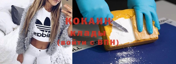 шишки Беломорск