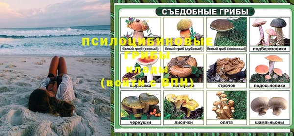 прущий лед Семёнов