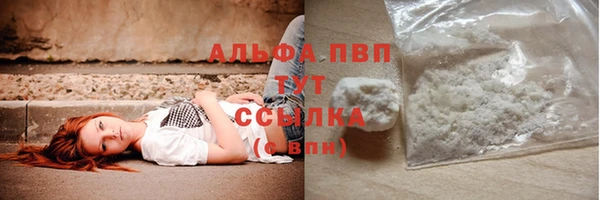 шишки Беломорск