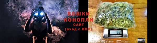 шишки Беломорск