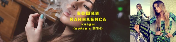 шишки Беломорск