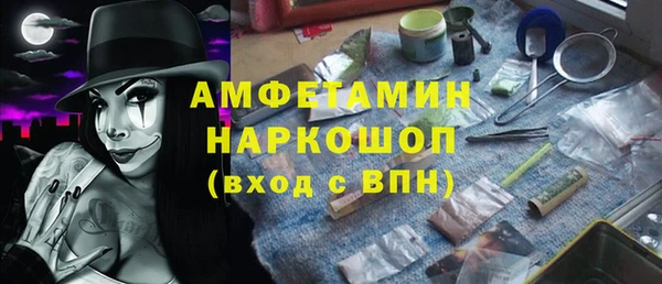 шишки Беломорск